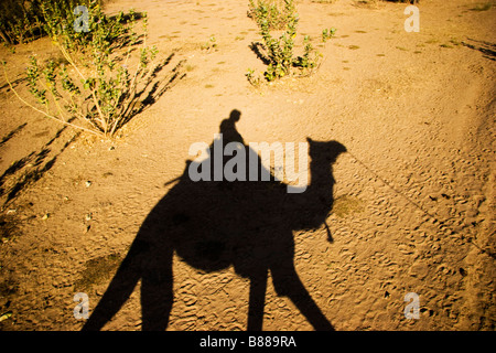 Touristische Fahrten Kamel in der Wüste Khuri Rajasthan Indien Stockfoto