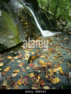 TENNESSEE - Laurel verliebt sich in Great Smoky Mountains Nationalpark. Stockfoto