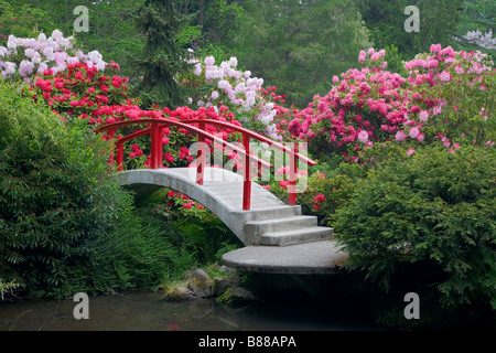 Seattle, WA: Kubota Garten Park Mond Stadtbrücke umgeben von blühenden Rhododendren Bögen über Teich am Mapes creek Stockfoto