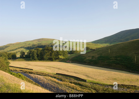 Ein Feld unterhalb Harden fiel in den Trog Bowland in North West Lancashire, die für Tuberose geschnitten worden ist Stockfoto