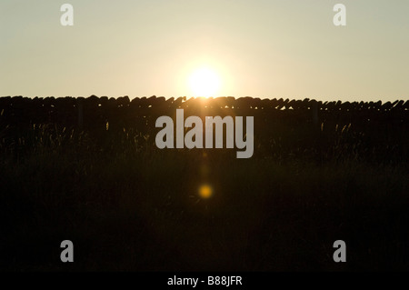 Abendsonne über eine traditionelle Trockenmauer Abfackeln Stockfoto