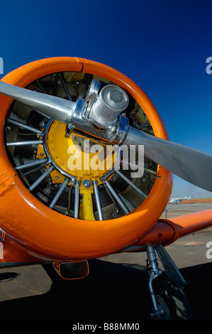 T-6 Texan Motor und propeller Stockfoto