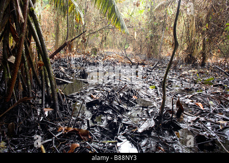 Ölaustritt aus einem Brunnen im tropischen Regenwald, Ecuador Stockfoto