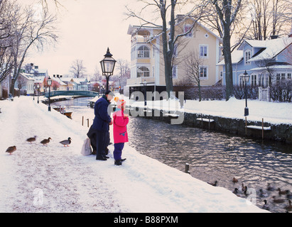 Menschen, die an der Mündung des Trosa River in Stadt von Trosa, Schweden im Winter Enten füttern Stockfoto