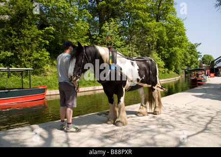 Pferdekutsche schmale Boot am Llangollen Kanal im Zentrum von Llangollen, Wales Stockfoto