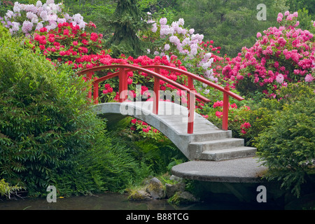 Seattle, WA: Kubota Garten Park Mond Stadtbrücke umgeben von blühenden Rhododendren Bögen über Teich am Mapes creek Stockfoto