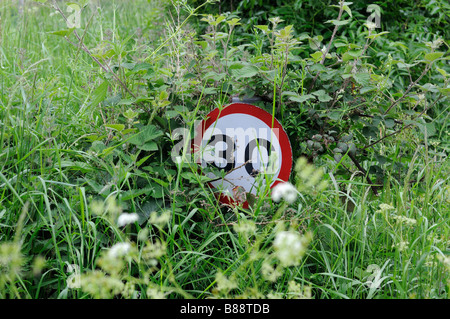 30 km/h Höchstgeschwindigkeit anmelden am Straßenrand vegetation Stockfoto