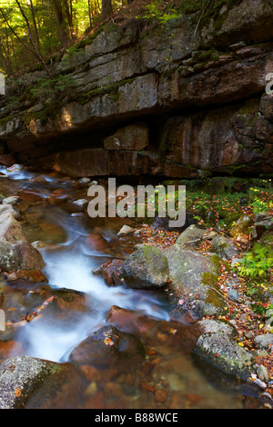 Eine Szene bilden die Flume Gorge im Franconia Notch State Park, New Hampshire, USA Stockfoto