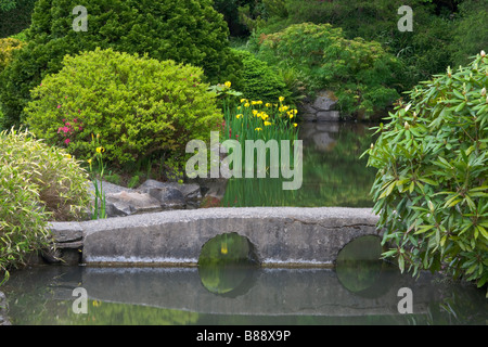 Seattle, WA: Kubota Gartenstadt Parken ein Stein Brücke überspannt einen Teich im japanischen Garten Stockfoto