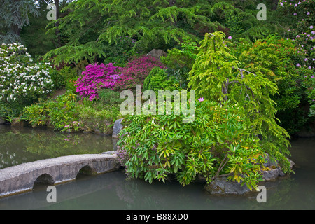 Rhododendren Bluhen In Einem Japanischen Garten In Planten Un Blomen Hamburg Deutschland Stockfotografie Alamy