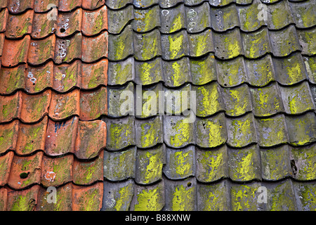 Zwei Farben der traditionellen Tonziegel auf Dach bedeckt mit Flechten Niederlande Stockfoto