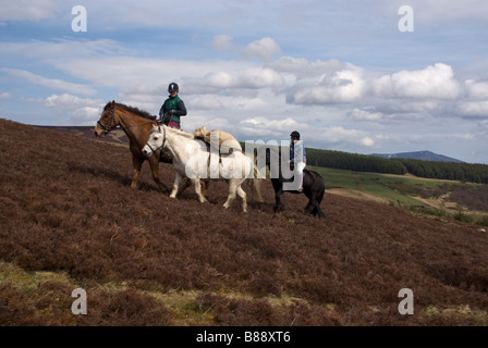 Reiten in Glenlivet Estate, Banffshire, Schottland Stockfoto