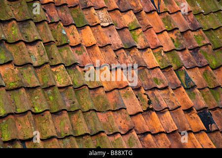 Traditionellen Tonziegel auf Dach bedeckt mit Flechten Niederlande Stockfoto
