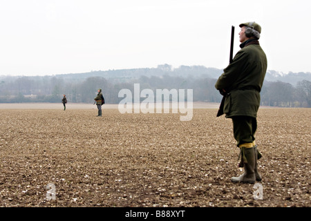 Linie der Pistolen warten im Feld bei Fasan schießen Stockfoto