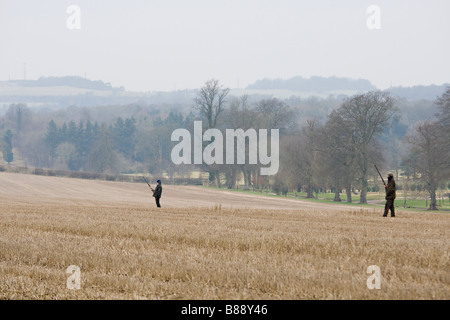 Warten im Stüble Feld am Fasan Kanonen schießen Stockfoto