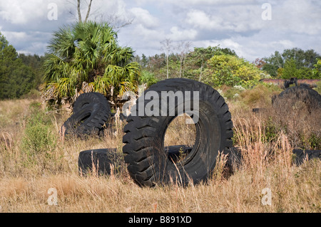 große LKW-Reifen im Feld North Florida entsorgt Stockfoto