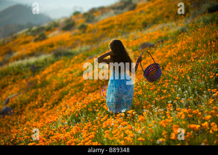 kleines Mädchen 7 Jahre alt Kommissionierung California Poppies von einem Hügel in Lake Elsinore riverside County Kalifornien Usa Herr Stockfoto