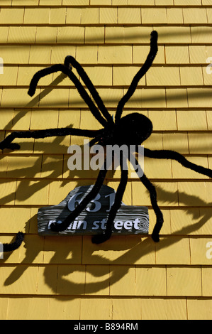 Große haarige Spinnen auf der Außenseite eines Hauses als Halloween Dekoration Stockfoto