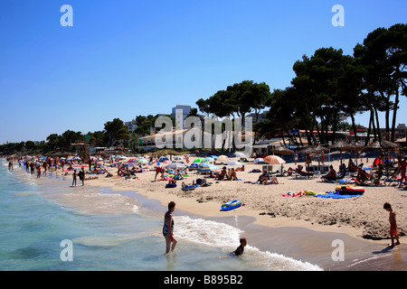 Tourist-Urlauber auf Strand und Meer Puerto de Alcudia Stadt Mallorca Mallorca Balearen Mittelmeer Spanien Stockfoto