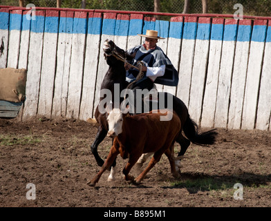 Chilenische Rodeo in Los Cerrillos, Chile Stockfoto