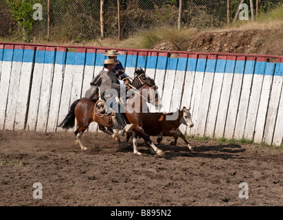 Chilenische Rodeo in Los Cerrillos, Chile Stockfoto