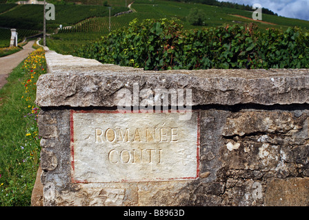 Romanee Conti Weinberg, Vosne Romanee, Cote de Nuits, Burgstall, Frankreich Stockfoto