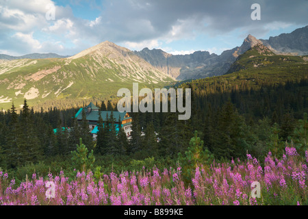 Hohe Tatra, Gasienicowa Tal, Polen Stockfoto