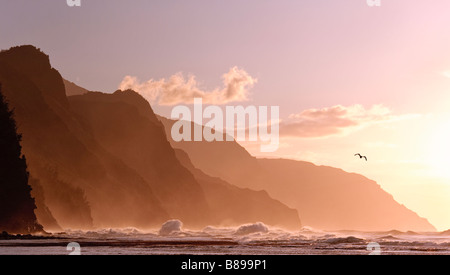 Sonnenuntergang in Na Pali Coast State Park mit einem Vogel, Kauai, Hawaii Stockfoto