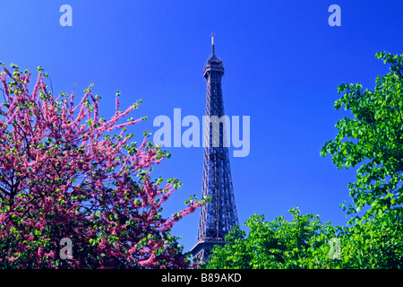 Eiffelturm im Frühling, Paris, Frankreich Stockfoto