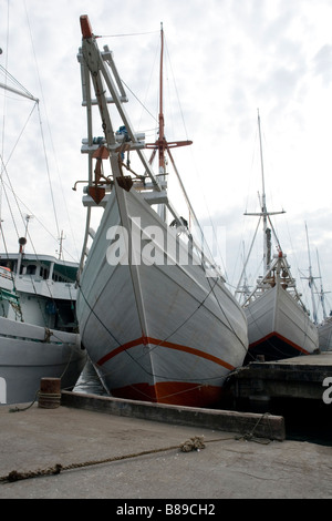 Schoner im Hafen von Paotere, in der Nähe von Makassar (Sulawesi - Indonesien). Goélettes Dans le port de Paotere, Près de Makassar Stockfoto