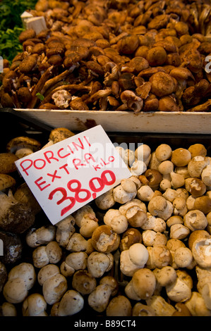 Porccini Champignons - Venedig Rialto Fischmarkt Stockfoto