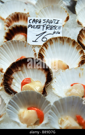 Frische Jakobsmuscheln - Venedig Rialto Fischmarkt Stockfoto