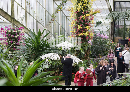 250 Jahrestag der Kew Gardens.Inside der Prinzessin von Wales Conservatory mit tropischen Pflanzen und Orchideen Stockfoto