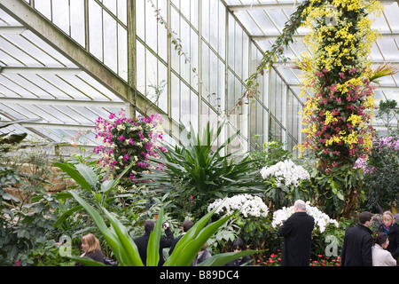 250 Jahrestag der Kew Gardens.Inside der Prinzessin von Wales Conservatory mit tropischen Pflanzen und Orchideen Stockfoto