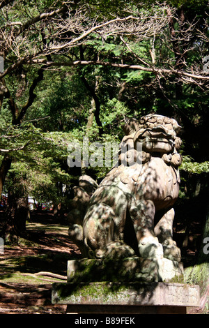 Stein-Fu / Foo Hund Statue / Tempelwächter Stockfoto