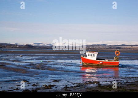 Boote im Schlamm bei Ebbe, Montrose Basin, Angus, Schottland Stockfoto