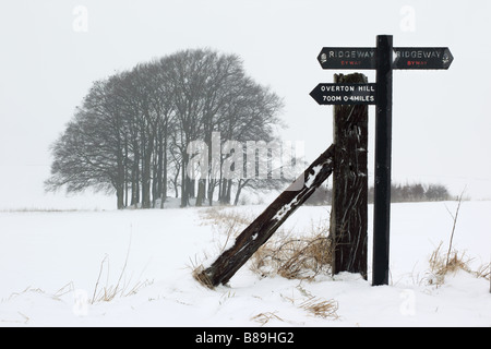 Buschbäume und der Ridgeway National Trail Wegweiser im Schnee, Overton, Wiltshire, England, Großbritannien Stockfoto