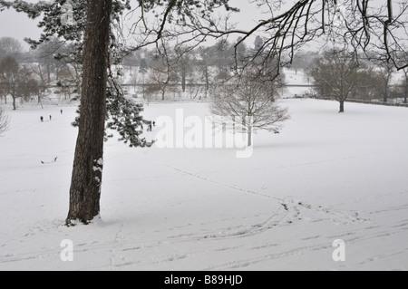 Rodeln und spielen in Gadebridge Park Hemel Hempstead Stockfoto