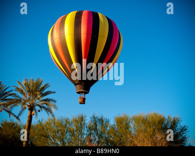 Heißluft-Ballon schwebt über Mesquite und Palmen. Stockfoto