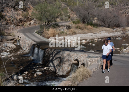 Wanderer im Sabino Canyon, Sabino Canyon Recreation Area, Coronado National Forest, Tucson, Arizona Stockfoto