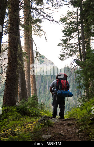 einzigen männlichen Backpacker auf Bowen Bäcker Gulch Trail in nie Sommer Wildnis colorado Stockfoto