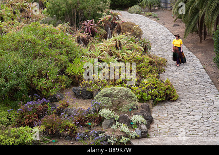 Jardin Canario Botanischer Garten von Gran Canaria, Spanien Stockfoto