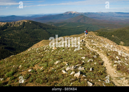 einzigen männlichen Backpacker auf Bowen Gulch Bäcker Gulch Trail auf kontinentale Wasserscheide in nie Sommer Wildnis colorado Stockfoto