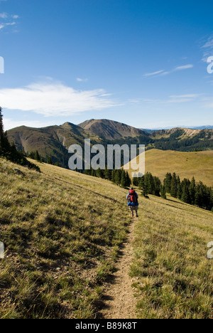 einzigen männlichen Backpacker auf Bowen Gulch Bäcker Gulch Trail nach Kreuzung kontinentale Wasserscheide in nie Sommer Wildnis colorado Stockfoto