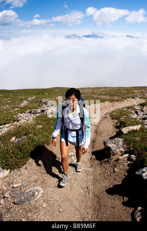 Frauen Trail führt über Flattop Mountain im Rock National Park. Stockfoto