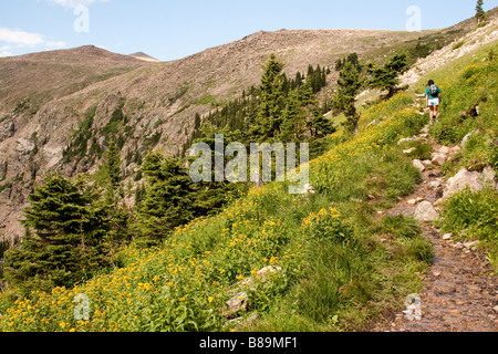 Frauen Trails hinauf und über Flattop Mountain im Rock National Park Stockfoto
