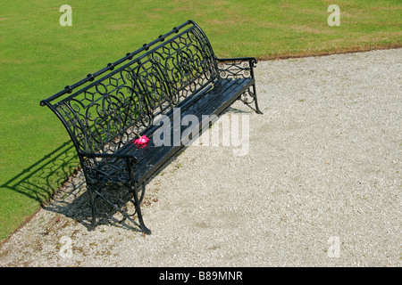 Eine einsame Parkbank mit üppigen grünen Rasen und eine einzelne rose Blume Stockfoto