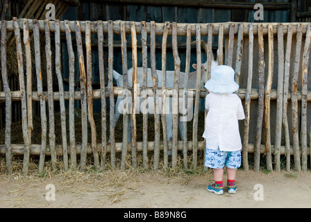 Ein kleiner Junge wirbt für eine Ziege in ein Kinder Spielbereich Stockfoto