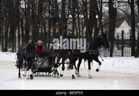 Troika gezeichnet von drei Pferden in Moskau Hippodrom, Russland Stockfoto