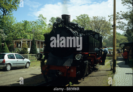 Dampf Lok 99 783 "Rasender Roland" an der Endhaltestelle Bahnhof Göhren, Rügen, Mecklenburg-Vorpommern, Deutschland Stockfoto